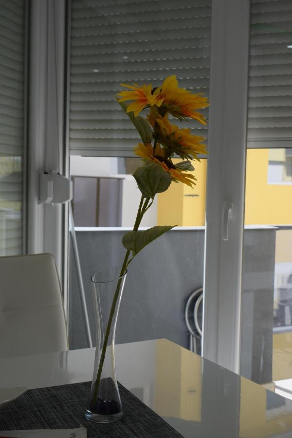 Apartmani K&V Veliko Gradište 外观 照片