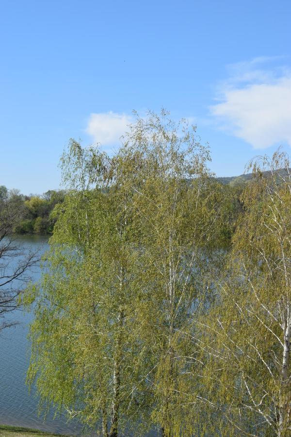 Apartmani K&V Veliko Gradište 外观 照片