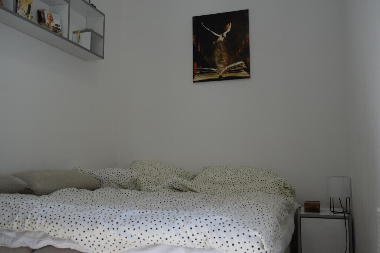 Apartmani K&V Veliko Gradište 外观 照片