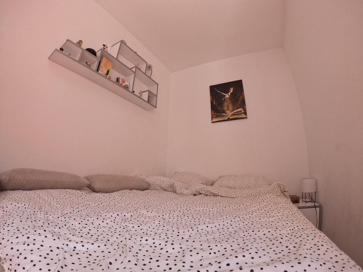 Apartmani K&V Veliko Gradište 外观 照片